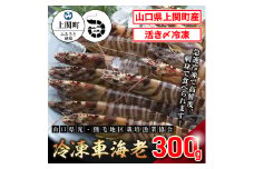 A-20　冷凍車えび300g【山口県光・熊毛地区栽培漁業協会】（Lサイズ）