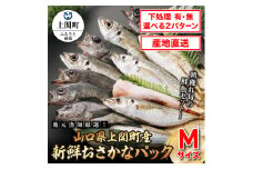 A-25　新鮮おさかなパック（Mサイズ／鮮魚）