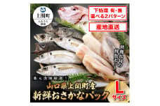 B-11　新鮮おさかなパック（Lサイズ／鮮魚）