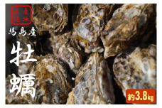馬島産 牡蠣 【山口県漁協 田布施支店】 D-4