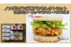 ノングルテン米粉パンセレクトセット(0.5斤2本・コッペパン4本・バンズ6個) C-47