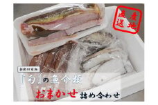 『旬』の魚介類おまかせ詰め合わせセット【新鮮田布施】C-2