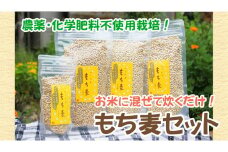 国産もち麦300g 3袋 ＆ 100g 1袋 d10-22