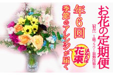 【定期便】 1級フラワー装飾技能士 季節のアレンジ花束 年６回 k144-1