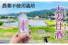 米こうじ『大麦甘酒』（もち麦入りあまざけ）≪農薬不使用≫≪ノンアルコール飲料≫e14-1
