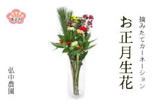 摘みたてカーネーション 生花の迎春花束 生け花セット【お正月飾り】 j8-18