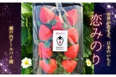 【年内発送】「恋みのり」約240g×2パック（約480g）いちご・イチゴ・苺【産地直送 】【12月限定】