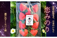 「恋みのり」約240g×2パック（約480g）いちご・イチゴ・苺【産地直送】