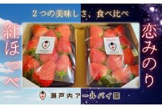 「紅ほっぺ」「恋みのり」食べ比べセット　各240g×1パック　計2パック（約480g）いちご・イチゴ・苺【産地直送】