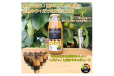 阿武町産 完熟キウイ 使用 70％ ストレートジュース 180ml×12本セット 飲みきりサイズ 朝食 や毎日の ビタミン 補給 に最適 フルーツジュース