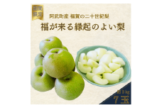 【ふるさと納税】【先行予約】福賀の二十世紀梨 約3kg（7玉） 阿武町産 高糖度＆安心栽培 昼夜の寒暖差が生むシャキシャキ食感 数量限定 なし 梨 ナシ フルーツ 果物 旬 《お届け：2025年8月下旬～9月15日頃出荷》 山口県 阿武町産 デザート