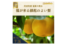 【  先行予約  】 南水梨 約3kg （7玉） 福賀産 （ 山口県 阿武町 ） 高糖度 ＆ シャキシャキ食感 やまぐちブランド認定の旬の味 梨 フルーツ 果物 デザート 【お届け：2025年9月20日頃～順次出荷】 数量限定