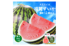 【希少な1株1玉栽培】 福賀 すいか 秀大 約9kg〜10kg 圧巻の大玉 ＆ シャリシャリ 食感 高糖度 プレミアム 西瓜 山口県 阿武町産 1個入り