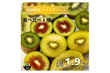 【 先行予約 】 キウイ フルーツ 食べ比べセット 約1.9kg （ 4種アソート ） 阿武町産 希少品種を厳選！ 旬の味 を堪能 フルーツ 果物 デザート 山口県産 【お届け：2025年11月14日頃～2026年1月31日頃】※品種指定不可・合計8種から4種をお届け