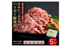 豚肉 阿武町産 豚挽肉 1kg×5パック 小分けセット | 携帯の電波も届かない環境で育った旨みたっぷりのハイポー豚 ひき肉 挽肉 豚 肉 お肉 ※配送不可:離島