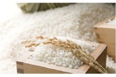 令和7年産 阿武町 「 うもれ木の郷 」 こしひかり 2kg×3袋 【 エコやまぐち認証 】 
