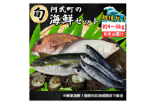 山口県 阿武町 道の駅 厳選 ！ 当日水揚げ 鮮魚 セット 約4～5kg 新鮮 豪華 旬 獲れたて 魚 さかな サザエ 海鮮