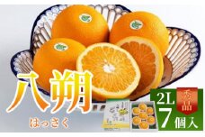 はっさく 八朔 みかん 1箱 7個 2L 秀品 2025年 2月～ 発送 清流の里 仕出原の八朔 期間限定 柑橘 果物 フルーツ デザート 旬 新鮮 季節 冬 人気 おすすめ ギフト プレゼント 贈答 贈り物 家庭用 穴吹 徳島