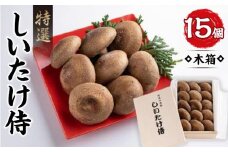 しいたけ 15個 木箱 肉厚 直径 8cm以上 野菜 きのこ キノコ 椎茸 茸 シイタケ 生しいたけ 侍 特選 簡単調理 健康 お中元 ギフト 贈答 お祝い お盆 徳島 しいたけ侍 木箱大【1箱15個入り】