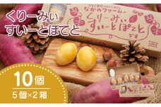 なると金時 スイートポテト 10個 ( 5個 × 2箱 ) 個包装 なかのファームのくりーみぃすいーとぽてと 芋 お芋 スイーツ お菓子 甘さ控えめ 洋菓子 手土産 ギフト 徳島 なかのファームのくりーみぃすいーとぽてと