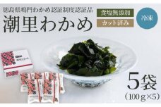 わかめ 国産 500g 100g × 5袋 カットわかめ 徳島県 鳴門 わかめ 米 こめ 味噌 汁 潮里わかめ 湯通し 冷凍わかめ カット 食塩 無添加 個包装 手間いらず なし お手軽 調理 料理 潮里 