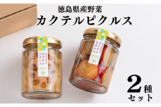 さつまいも れんこん ピクルス 60g 徳島県産 野菜 2種 セット 漬物 つけもの カクテル なると金時 さつま芋 酢 かき 柿 ゆず パッション フルーツ 素材 ギフト 贈り物 家庭用 食品 酒 ビール おつまみ 弁当 惣菜 おかず 健康 徳島 徳島県産野菜カクテルピクルス2種セット