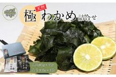 徳島県椿泊産天然極わかめ詰合せ 計570g（6袋）