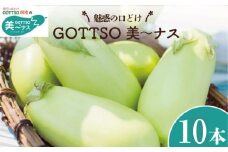 白ナス 美～ナス 1箱 10本 2025年 7月から8月末まで発送 なす 季節 夏 野菜 新鮮 旬 煮物 炒め物 漬物 鍋 味噌汁 GOTTSO 阿波 徳島