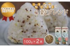 【限定10セット】にし阿波の６穀ブレンド【100g×2本】