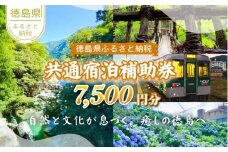徳島県 宿泊券 7,500円分 徳島県 徳島 すだち 大野 海苔 のり お土産 米 徳島ラーメン ラーメン 道の駅 観光 ホテル 美術館 名物 温泉 グルメ 徳島ヴォルティス フィッシュカツ 半田そうめん 阿波踊り お菓子 日本酒 藍染 