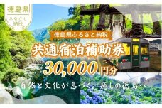徳島県 宿泊券 30,000円分 徳島県 徳島 すだち 大野 海苔 のり お土産 米 徳島ラーメン ラーメン 道の駅 観光 ホテル 美術館 名物 温泉 グルメ 徳島ヴォルティス フィッシュカツ 半田そうめん 阿波踊り お菓子 日本酒 藍染