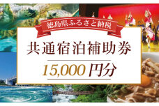 徳島県 宿泊券 15,000円分 徳島県 徳島 すだち 大野 海苔 のり お土産 米 徳島ラーメン ラーメン 道の駅 観光 ホテル 美術館 名物 温泉 グルメ 徳島ヴォルティス フィッシュカツ 半田そうめん 阿波踊り お菓子 日本酒 藍染