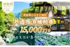 徳島県 宿泊券 15,000円分 徳島県 徳島 すだち 大野 海苔 のり お土産 米 徳島ラーメン ラーメン 道の駅 観光 ホテル 美術館 名物 温泉 グルメ 徳島ヴォルティス フィッシュカツ 半田そうめん 阿波踊り お菓子 日本酒 藍染