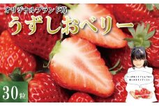 いちご 苺 30粒 3L サイズ 1月中旬から5月末まで発送  うずしおベリー 果物 フルーツ デザート 旬 新鮮 季節 冬 人気 ケーキ おすすめ ギフト プレゼント 贈答 贈り物 家庭用 先行予約 送料無料 徳島