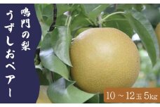 梨 なし 5kg 10〜12玉 3L〜5Lサイズ 2025年 8月〜 発送 うずしおペアー 果物 フルーツ デザート 旬 新鮮 季節 秋 人気 おすすめ ギフト プレゼント 贈答 贈り物 家庭用 期間限定 送料無料 鳴門 徳島