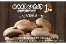 しいたけ 菌床生しいたけ 1kg きのこ 肉厚 生 椎茸 濃厚 家庭用 おかず 野菜 料理 調理 健康食品 健康 冷蔵 国産 徳島