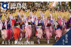 【返礼品なし】 徳島県への寄附 徳島県 ふるさと納税応援寄附 1口 100,000円から 応援 支援 寄付 寄附 ふるさと納税 観光 とくしま 徳島 
