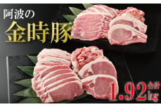 阿波の金時豚 詰め合わせ セット 1.92kg 豚肉 ロース 焼き肉 バラ 切り落とし しゃぶしゃぶ アリ 小分け 金時 とんかつ ご飯 ふるさと お歳暮 年 冷凍 徳島 阿波