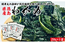 わかめ 250g×3袋 塩蔵 わかめ スープ ご飯 米 鮭 ホタテ いくら エビ かつお しらす サーモン まぐろ さば と一緒に 刺身 酢 魚 野菜 サラダ 味噌 味噌汁 みそ 海藻 のり 佃煮 ごはんのお供 徳島 松茂 マルハチ 岩本水産 開華丸の漁師が試行錯誤を繰り返しこだわった徳島県産わかめ