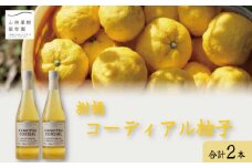 ゆず コーディアル 2本 セット 【 ドリンク 柚子 シロップ カクテル カシス 酒 炭酸水 紅茶 かき氷 果物 果実 茶 和 柑橘 高級 ほろよい ギフト お歳暮 ふるさと 100 ビタミン 年 日 徳島 柑橘コーディアル柚子２本セット 】
