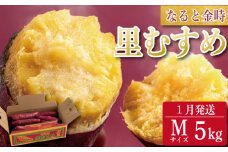 さつまいも 鳴門金時 5kg 2026年1月発送 なると金時 Mサイズ 里むすめ 芋 野菜 スイーツ スイート チップス 棒 箱 詰め 紅 甘い お菓子 金時 大学 種類 生 調理 干し芋 焼き芋 ホクホク ケーキ 産地直送 黄 ふるさと ギフト 年 日 徳島 鳴門