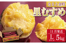 さつまいも 鳴門金時 5kg 2025年11月発送 なると金時 Lサイズ 里むすめ 芋 野菜 スイーツ スイート チップス 棒 箱 詰め 紅 甘い お菓子 金時 大学 種類 生 調理 干し芋 焼き芋 ホクホク ケーキ 産地直送 黄 ふるさと ギフト 年 日 徳島 鳴門