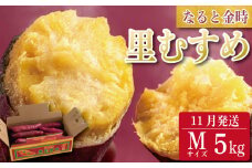 さつまいも 鳴門金時 5kg 2025年11月発送 なると金時 Mサイズ 里むすめ 芋 野菜 スイーツ スイート チップス 棒 箱 詰め 紅 甘い お菓子 金時 大学 種類 生 調理 干し芋 焼き芋 ホクホク ケーキ 産地直送 黄 ふるさと ギフト 年 日 徳島 鳴門