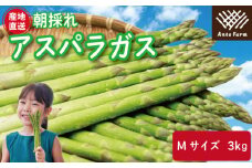 アスパラガス Mサイズ 3kg 2025年 3月から9月末まで発送 せいくらべ アスパラ 季節 春 野菜 新鮮 旬 煮物 炒め物 漬物 鍋 味噌汁 家庭用 弁当 惣菜 おかず 健康 栄養 Anto Farm 阿南 徳島