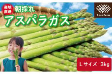 アスパラガス Lサイズ 3kg 2025年 3月から9月末まで発送 せいくらべ アスパラ 季節 春 野菜 新鮮 旬 煮物 炒め物 漬物 鍋 味噌汁 家庭用 弁当 惣菜 おかず 健康 栄養 Anto Farm 阿南 徳島