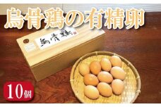 卵 10個 たまご 玉子 生卵 ゆで 鶏 卵焼き 卵かけご飯 ごはん こめ 米 すき焼き 牛丼 プリン フライパン お菓子 サンドイッチ フワフワ オムライス おでん だし巻き卵 長寿 健康 料理 高級 ふるさと 徳島 烏骨鶏
