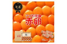 卵 赤卵 40個 (割れ保証含む) たまご アイ杉原 国産 大人気 玉子焼き 卵焼き 卵かけご飯 米 ご飯 ゆで卵 すき焼き 鳥 鶏 鶏卵 卵黄 玉子スープ 玉子焼き 生卵 産地直送 健康 ギフトお歳暮 お中元 アイ杉原の赤卵 徳島 