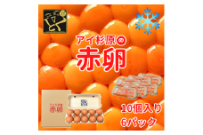 卵 赤卵 60個 (割れ保証含む) たまご アイ杉原 国産 大人気 玉子焼き 卵焼き 卵かけご飯 米 ご飯 ゆで卵 すき焼き 鳥 鶏 鶏卵 卵黄 玉子スープ 玉子焼き 生卵 産地直送 健康 ギフトお歳暮 お中元 アイ杉原の赤卵 徳島 