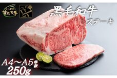 すだち牛 黒毛和牛 （ ステーキ用 ） 250g 国産 ステーキ 牛肉 冷凍 お肉 肉 ブランド 和牛 カット 人気