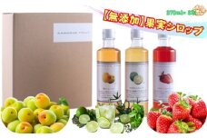 無添加果実シロップセット　無添加 シロップ ヨーグルト アイスクリーム かき氷 炭酸水 水割り お湯割り ビール ハイボール オリジナルカクテル